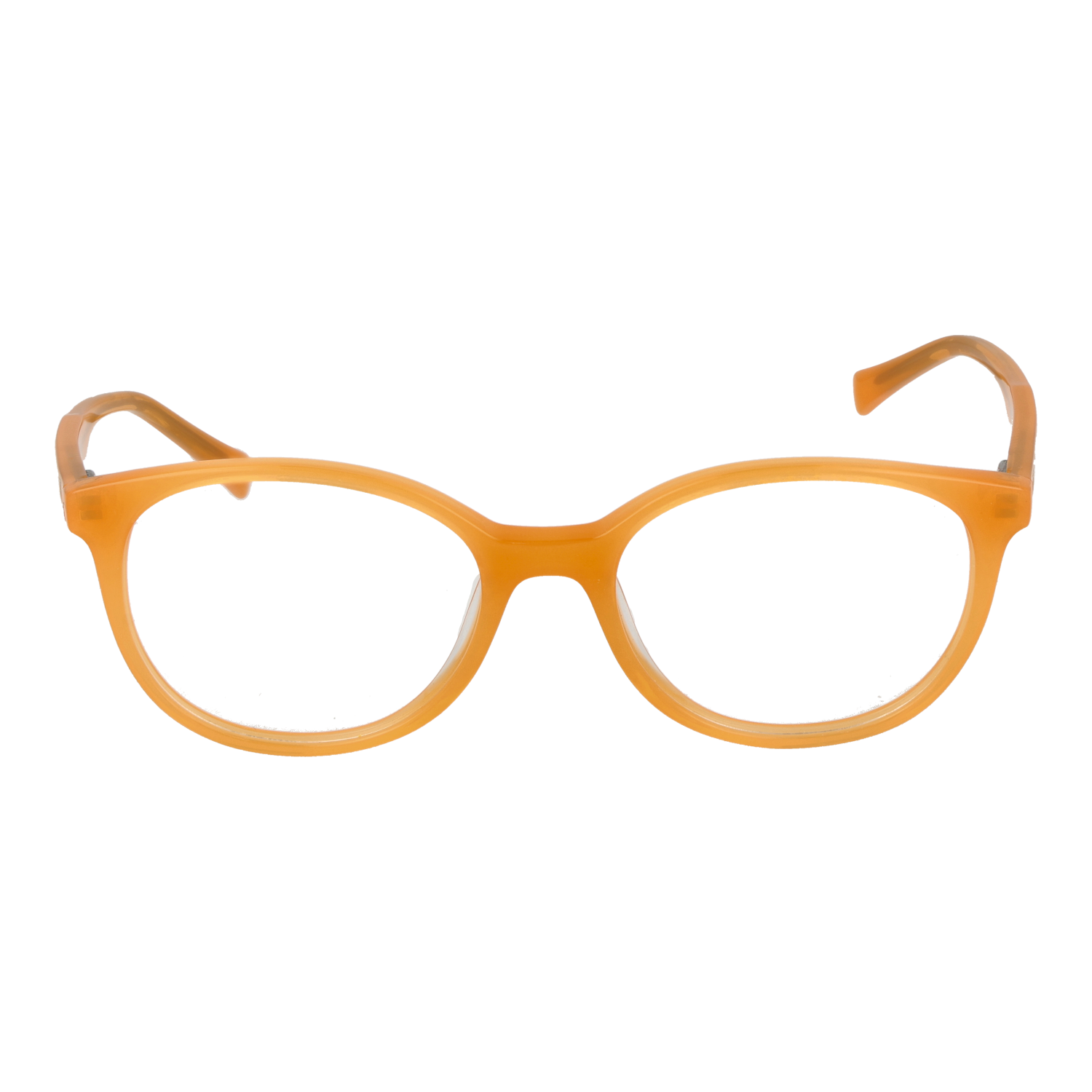 Bulget Optical Frames Bulget Eyeglasses Frames BGT6252 T03 49 Eyeglasses Eyewear designer