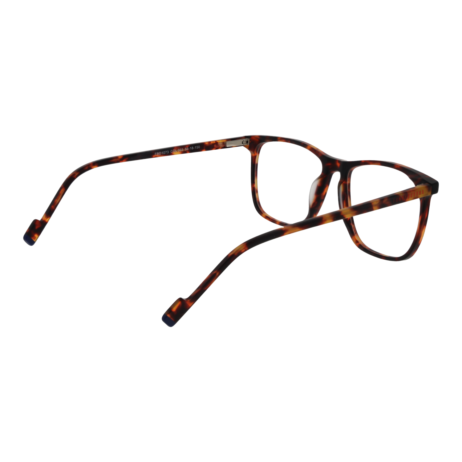 Funky Buddha Optical Frames Funky Buddha Eyeglasses Frames FBD1073 003 56 Eyeglasses Eyewear designer
