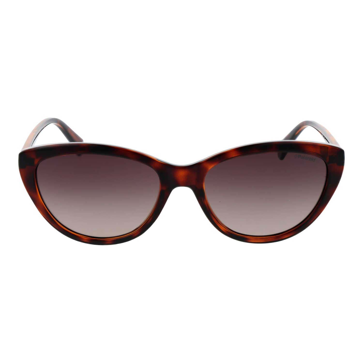 Polaroid Sunglasses Polaroid Sunglasses PLD 4080/S 086LA 55 Eyeglasses Eyewear designer