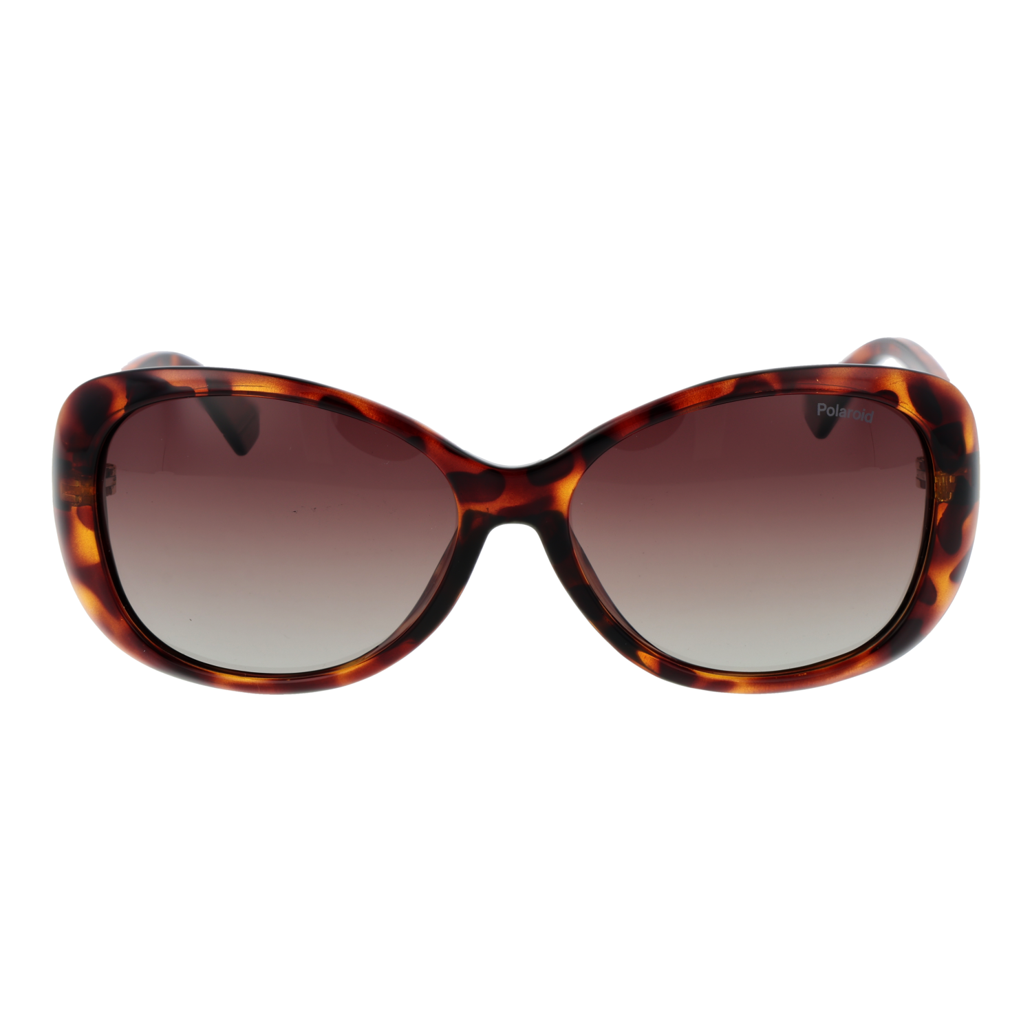 Polaroid Sunglasses Polaroid Sunglasses PLD 4097/S 086LA 57 Eyeglasses Eyewear designer