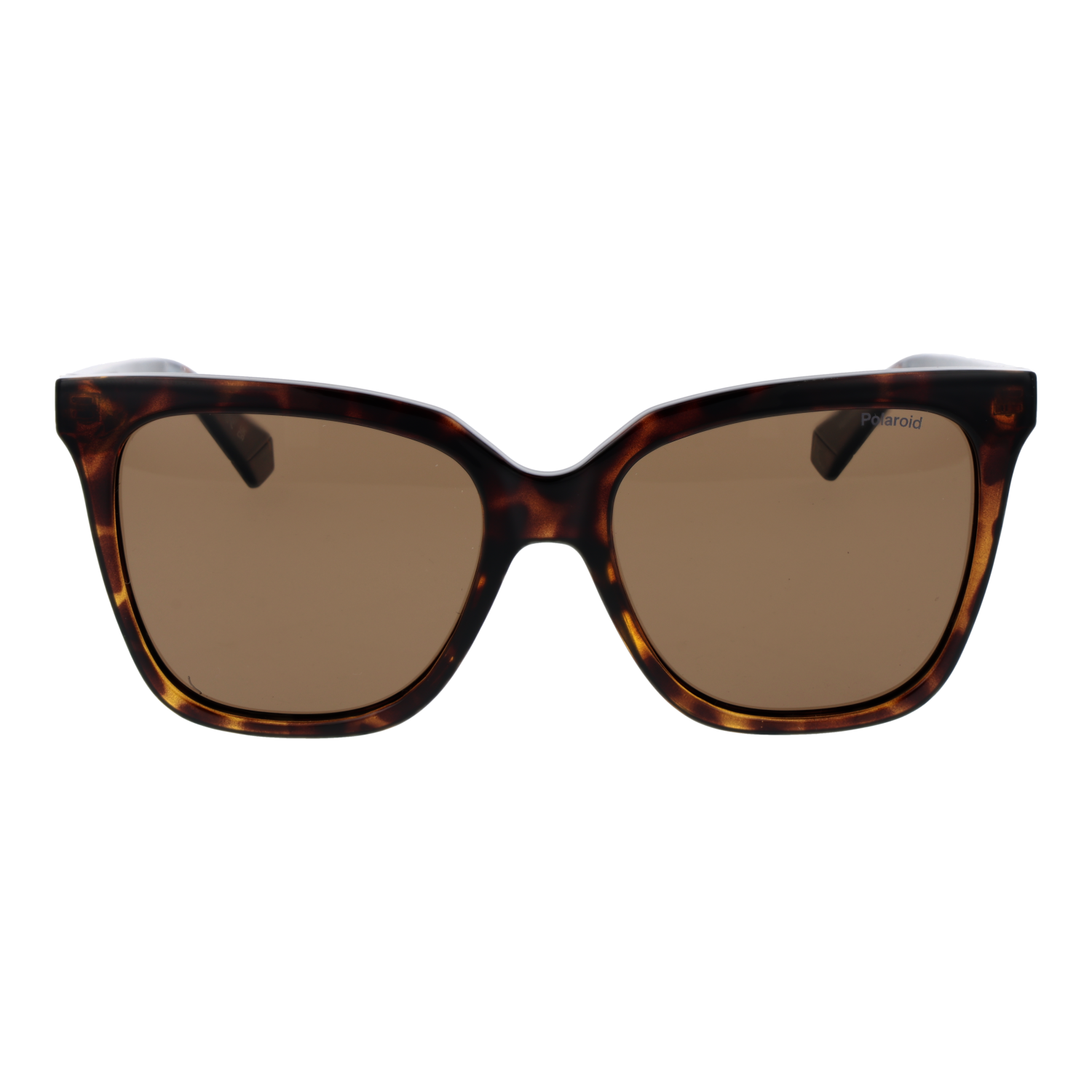 Polaroid Sunglasses Polaroid Sunglasses PLD 4155/S/X 086SP 55 Eyeglasses Eyewear designer