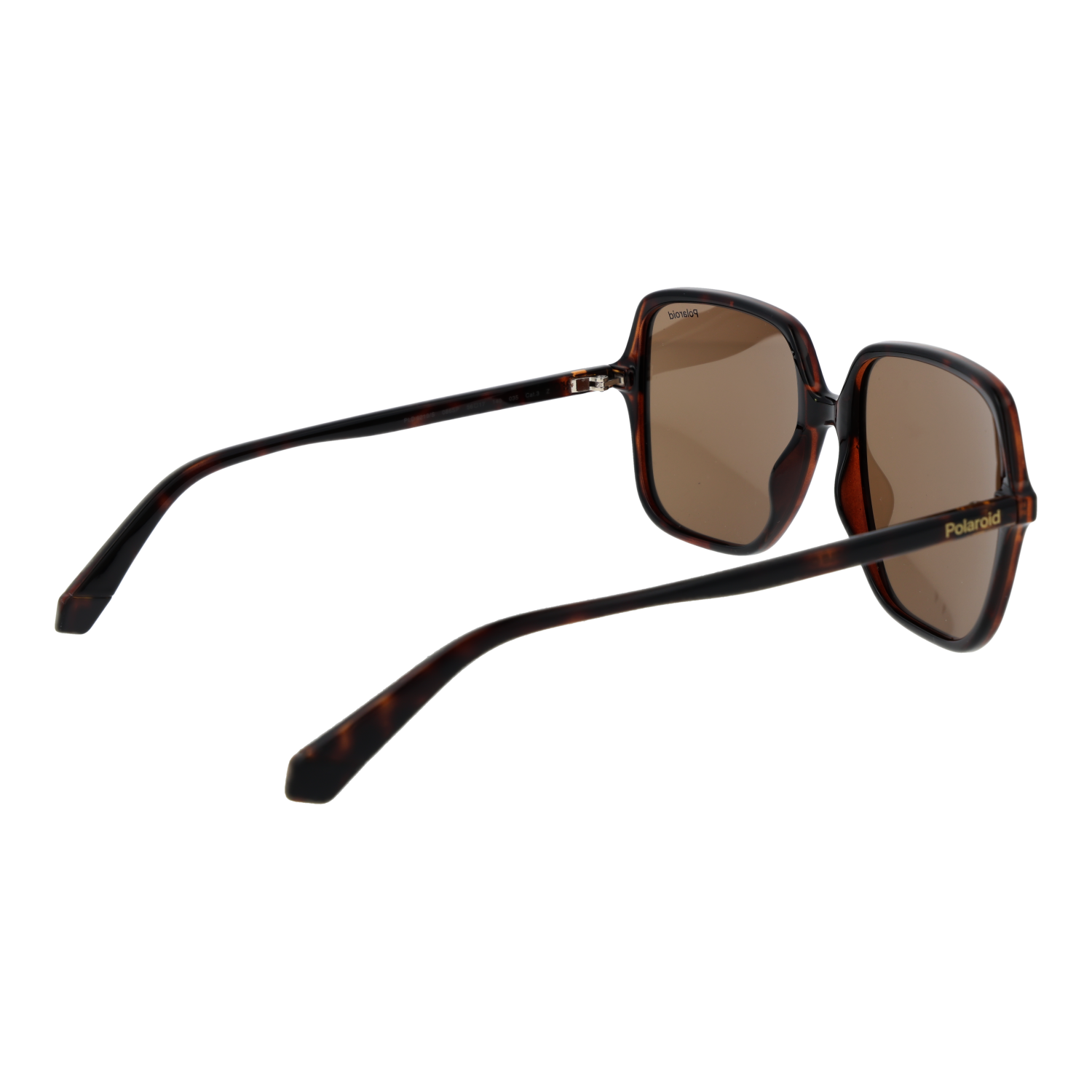 Polaroid Sunglasses Polaroid Sunglasses PLD 6219/S 086SP 56 Eyeglasses Eyewear designer