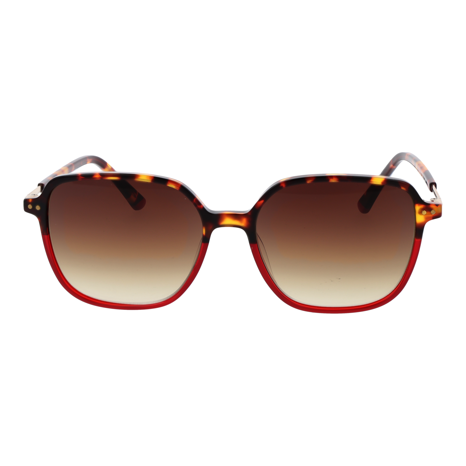 Replay Sunglasses Replay Sunglasses RY468V 03S 55 Eyeglasses Eyewear designer