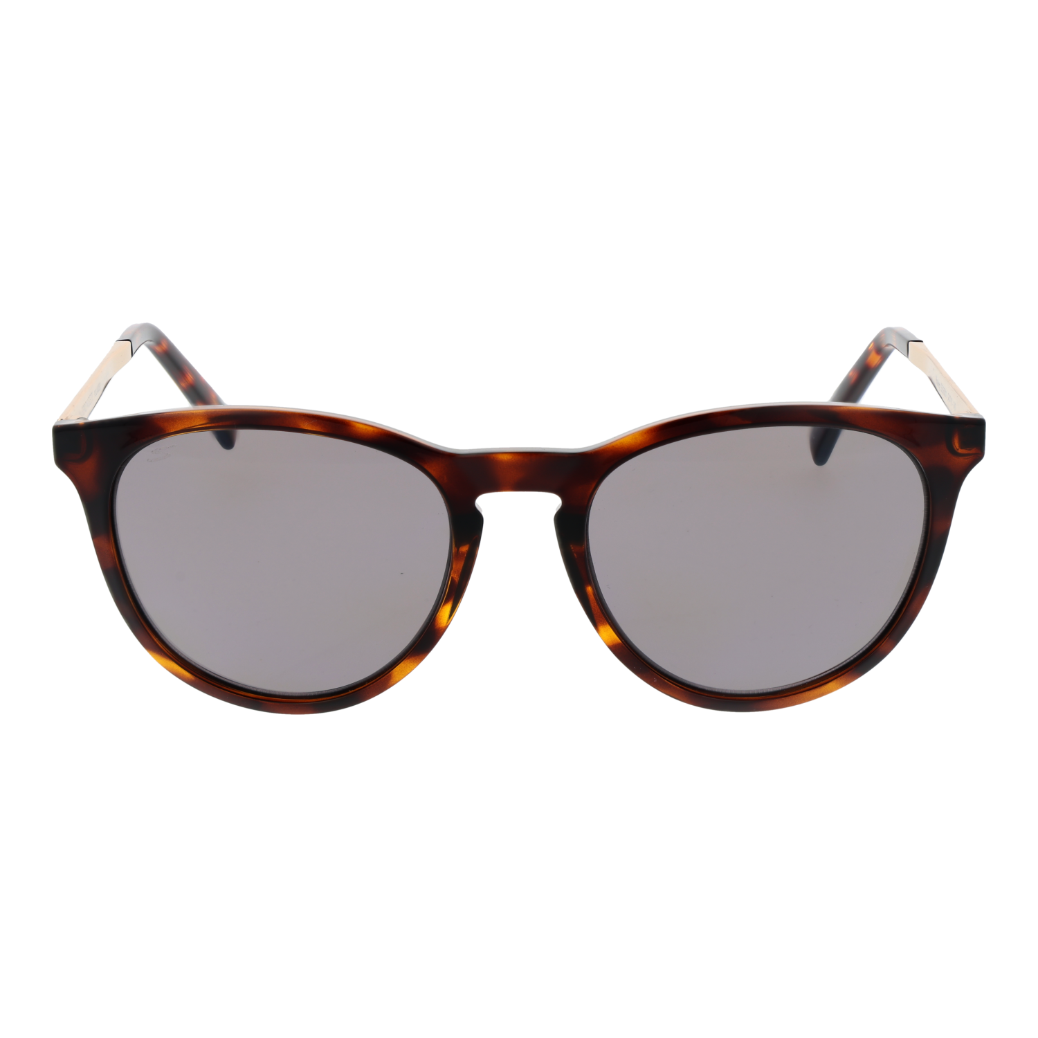 Serengeti Sunglasses Serengeti Sunglasses SS556001 Brawley Eyeglasses Eyewear designer