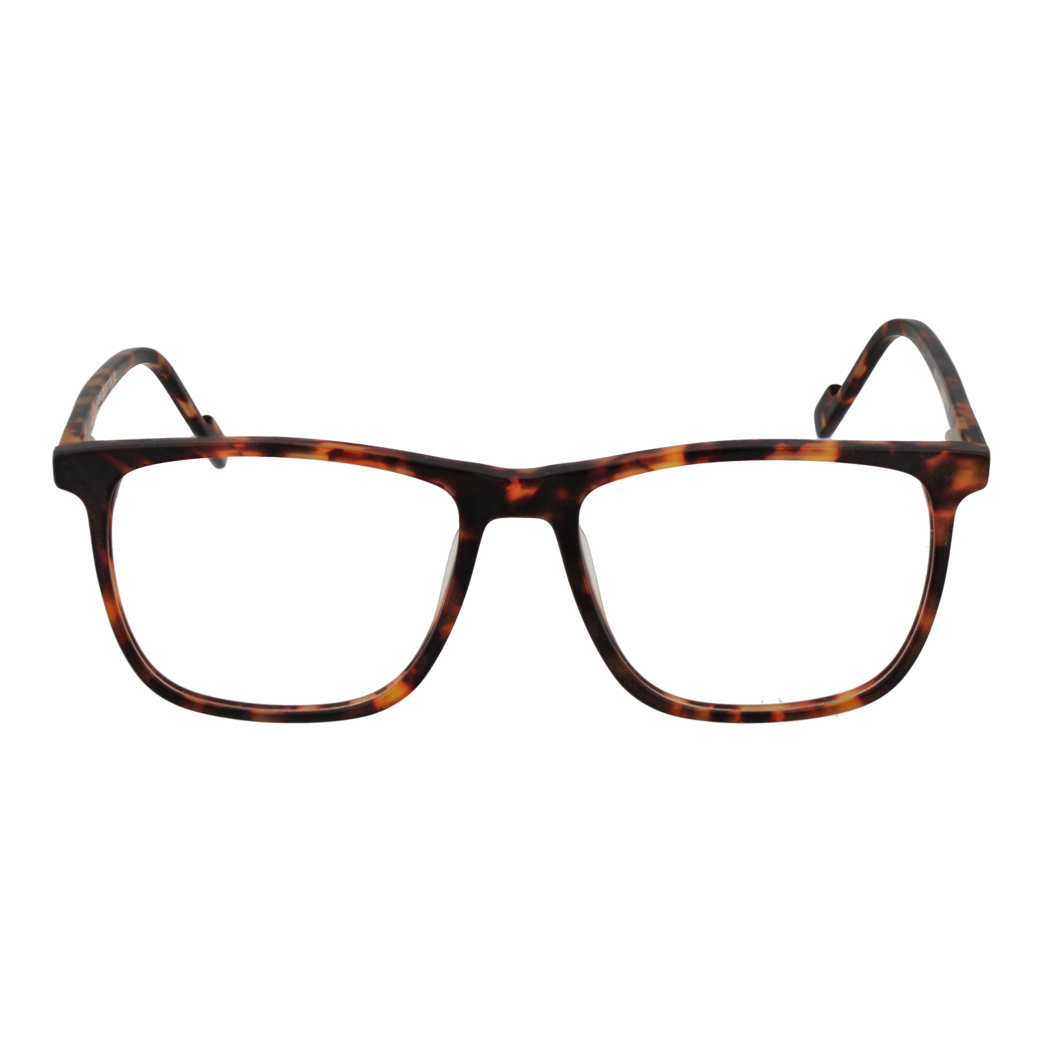 Funky Buddha Optical Frames Funky Buddha Eyeglasses Frames FBD1073 003 56 Eyeglasses Eyewear designer