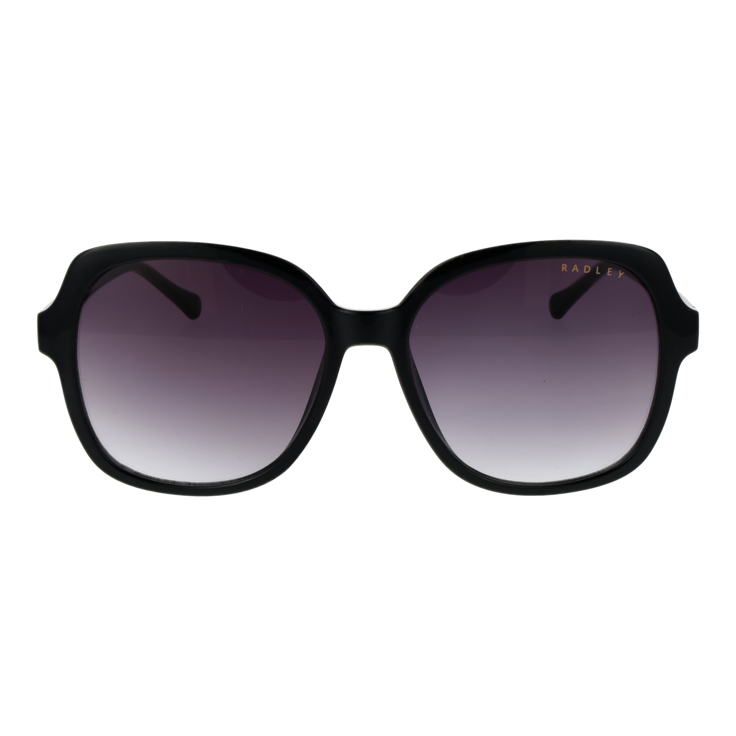 Radley Sunglasses Radley Sunglasses RDS-6505 104 57 Eyeglasses Eyewear designer